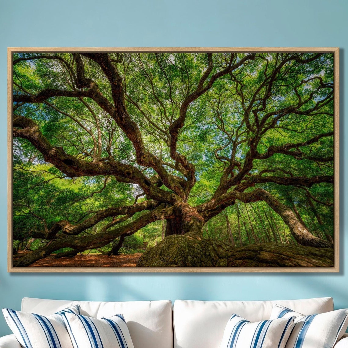 Angel Oak Massive Live Oak Canopy Sprawling Branches Wall Art