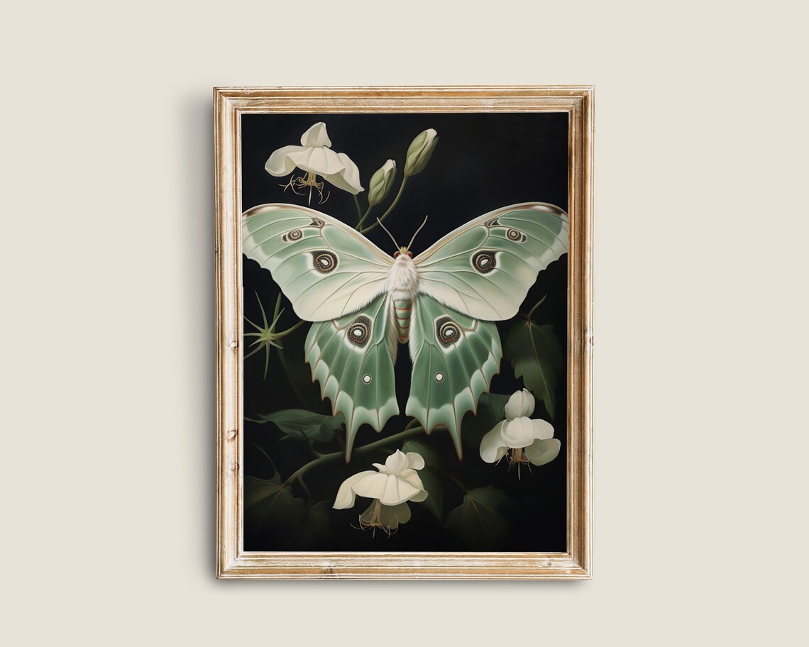 Green White Moth Victorian Vintage Art Print