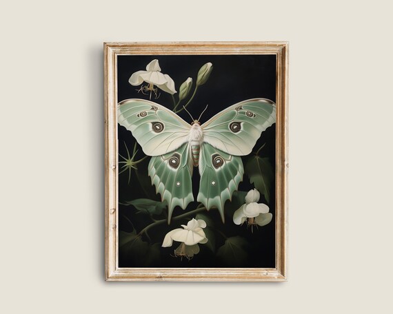 Green White Moth Victorian Vintage Art Print