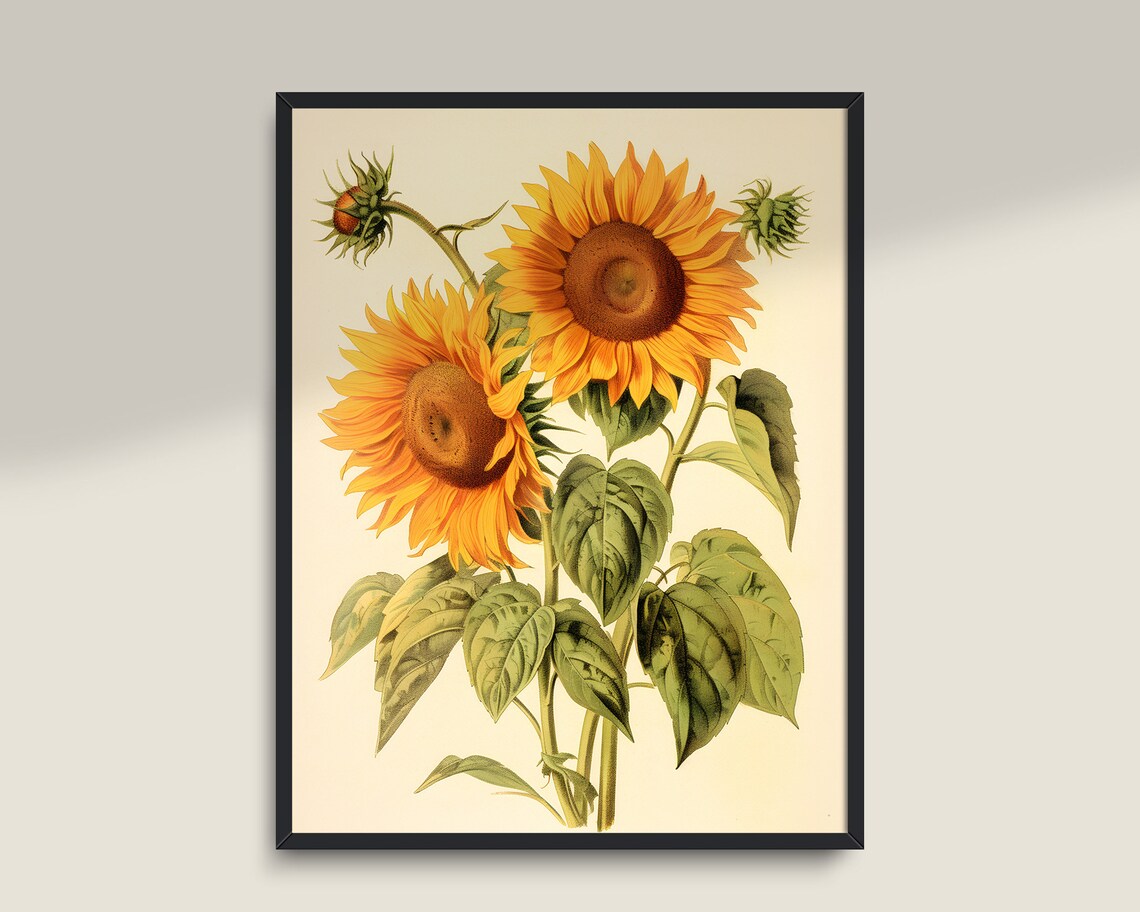 Vintage Sunflowers Art Print, Farmhouse Decor - Image 3