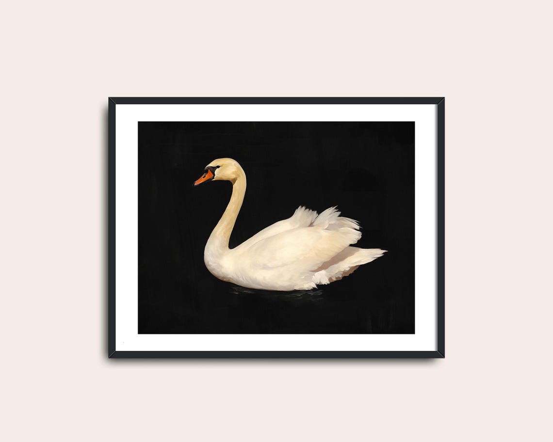 White Swan Portrait Black Background Elegant Vintage Bird Poster - Image 2