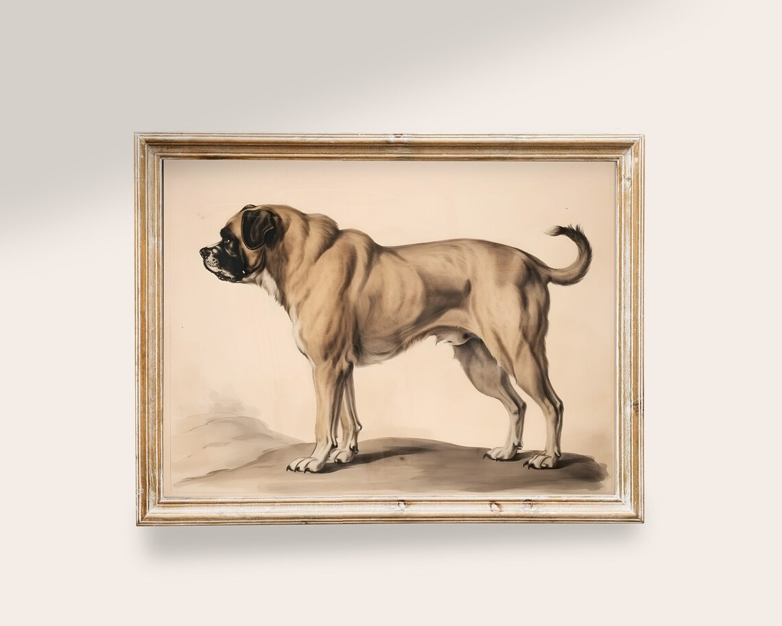 Vintage Mastiff Dog Antique Sketch Art Print
