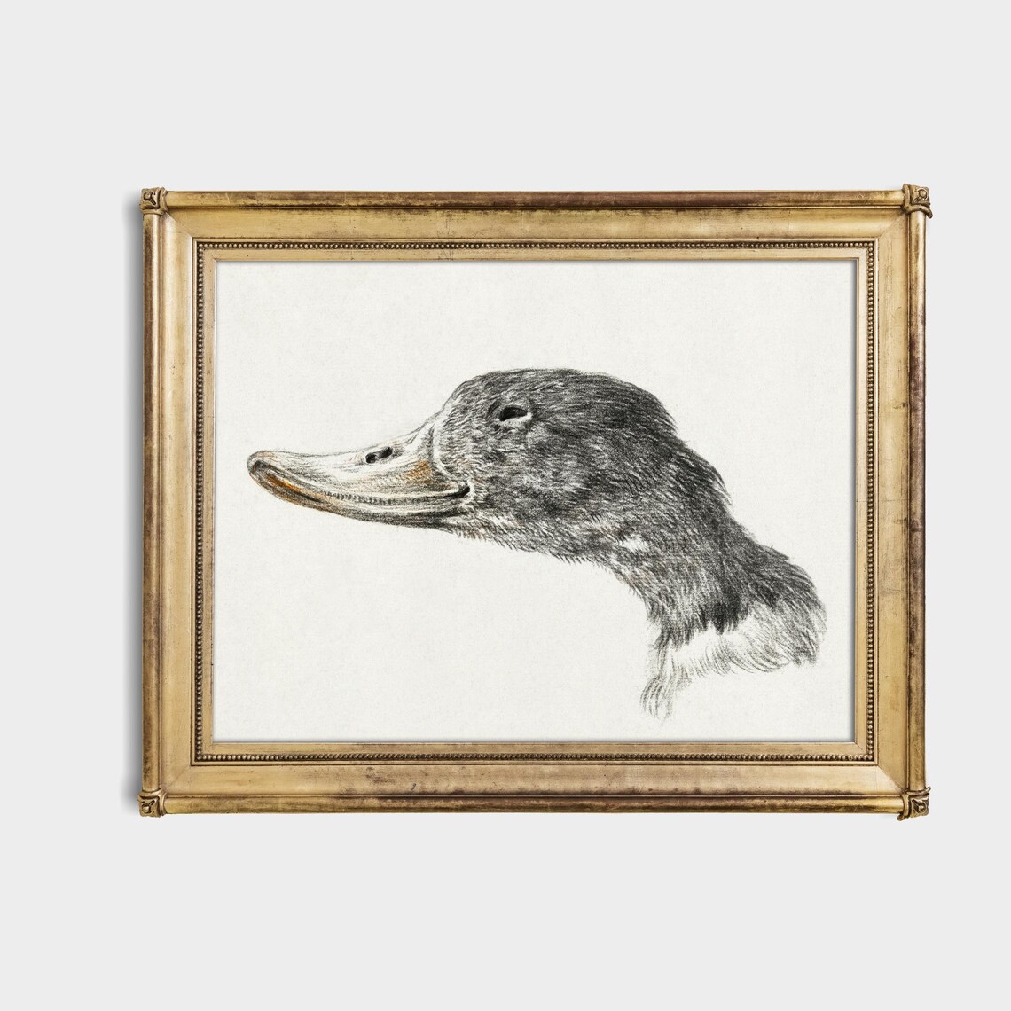 Vintage Duck Print, Rustic Farmhouse Wall Art Print - Image 4