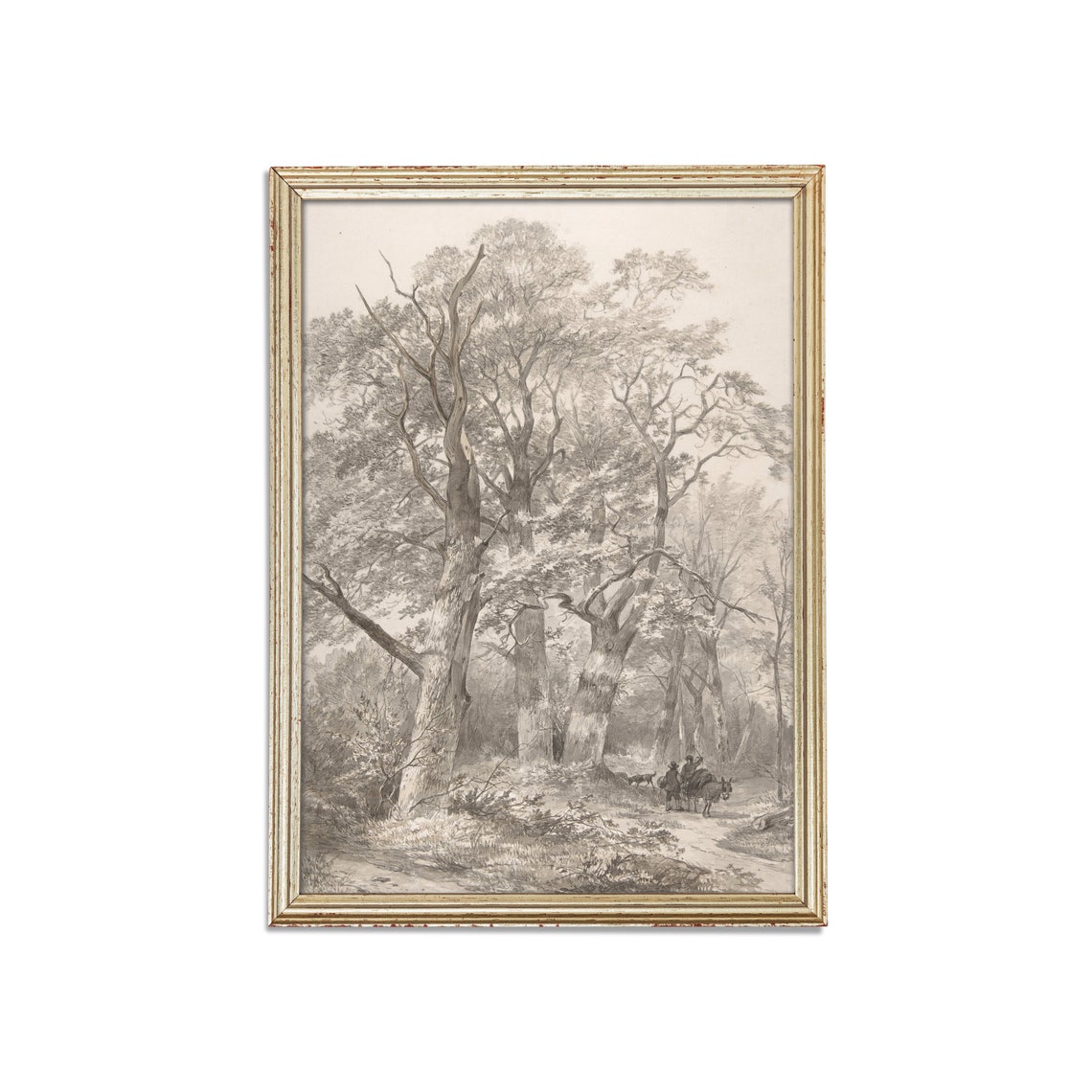 Printed And Shipped Vintage Tree Sketch Drawing Antique Sketch Print Neutral Art Forest Drawing Farmhouse Decor Physical Prints - Image 2