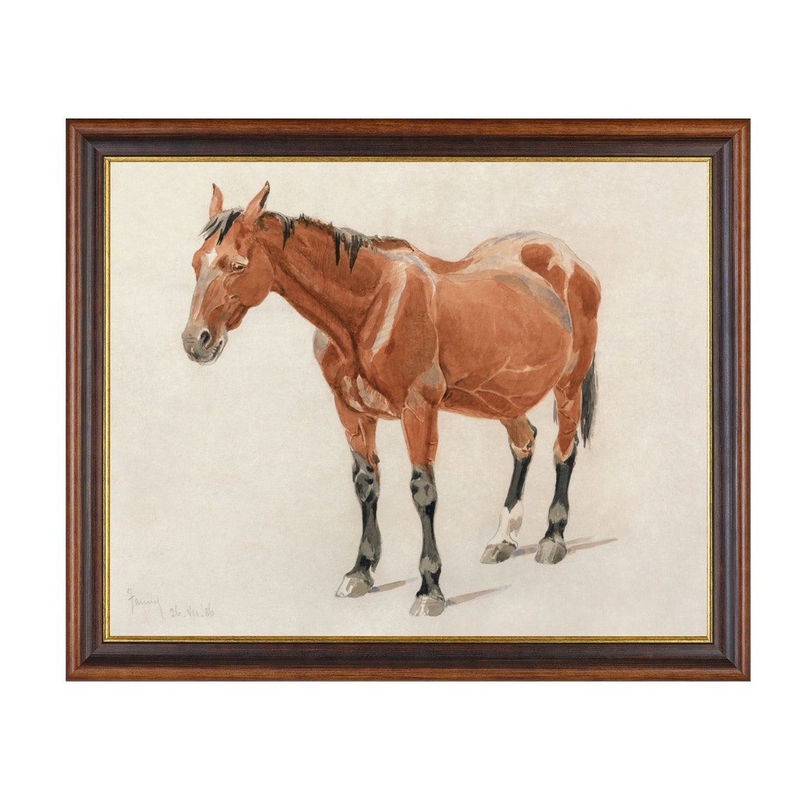 Chestnut Horse Standing Antique Equestrian Watercolor Study Poster