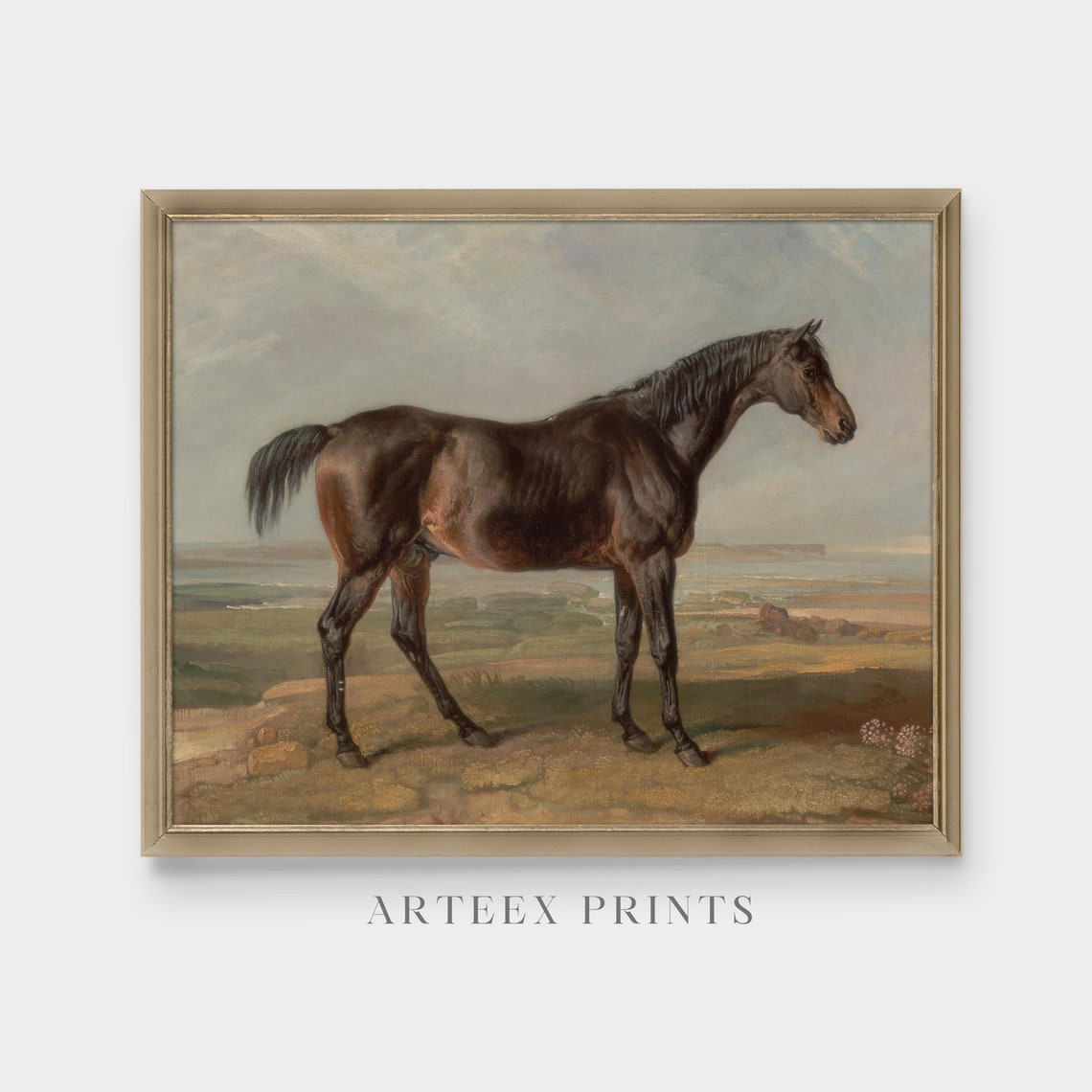 Antique Dark Bay Horse Standing on Moorland Vintage Equine Poster - Image 3