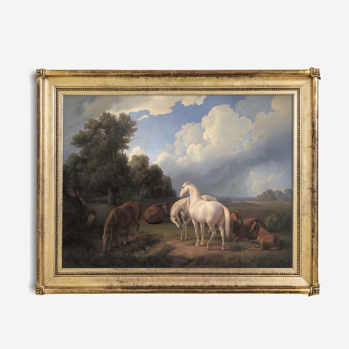 Antique White Arabian Horse Among Chestnut Herd Pasture Poster - Image 2