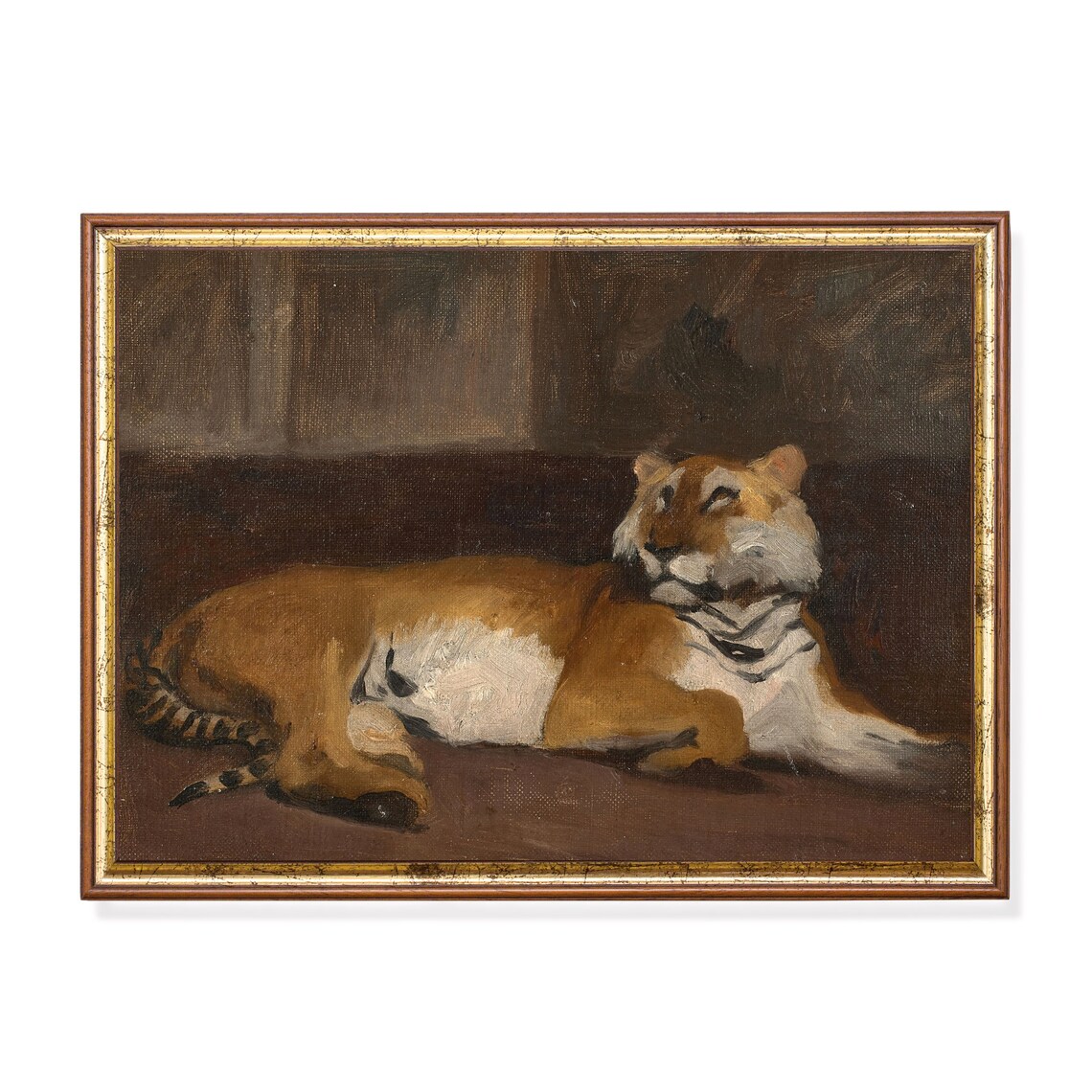 Golden Tiger Resting Against Dark Background Vintage Wildlife Poster