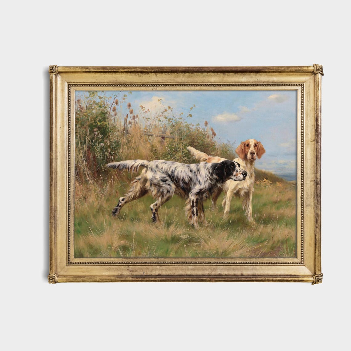 Two English Setters Holding Point in a Tall Grassy Field Poster - Image 4