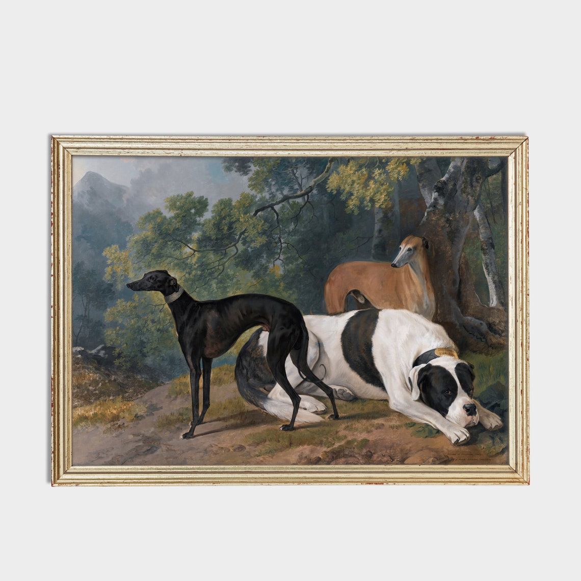 Greyhounds And Mastiff Resting In The Woodland Forest Poster - Image 2