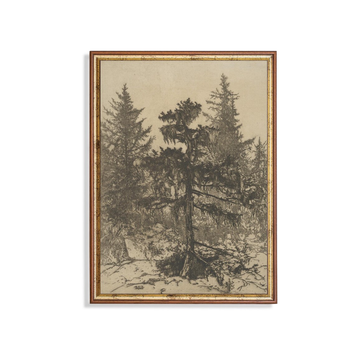 Wooded Landscape Vintage Sketch Drawing Art Print