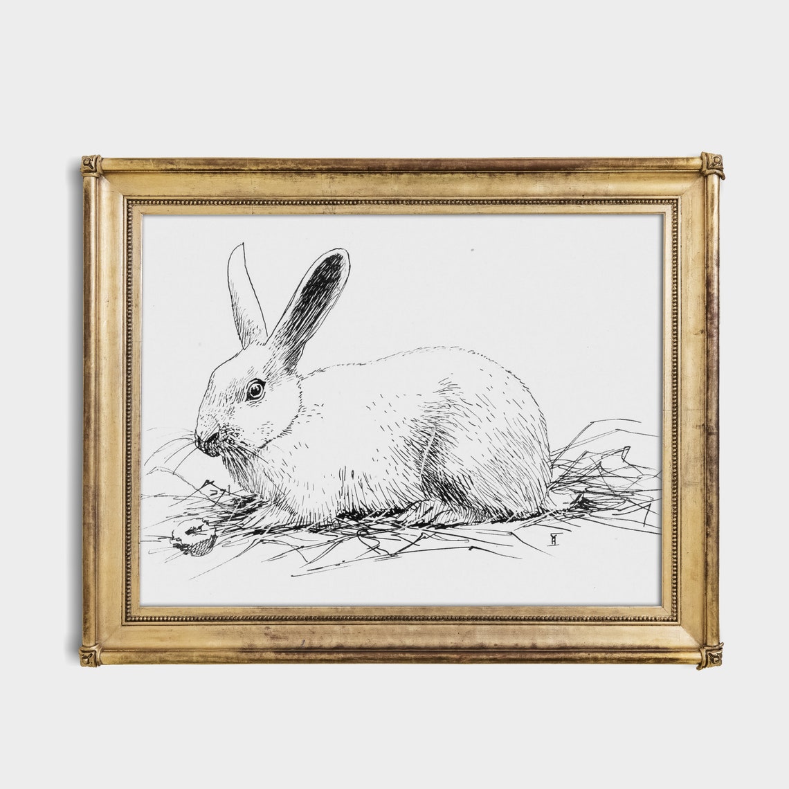 Resting Rabbit in Hay Black and White Pen and Ink Sketch Poster - Image 4