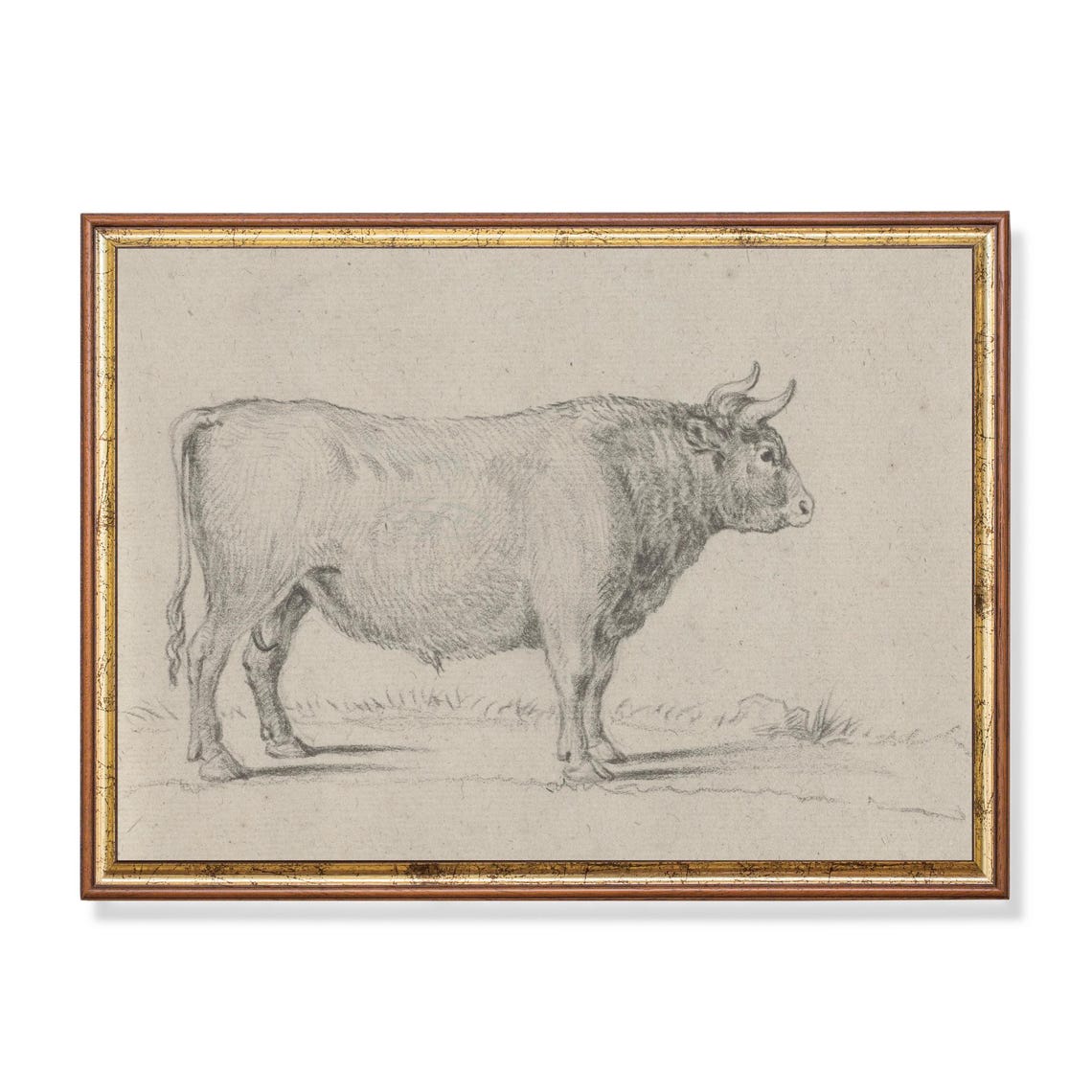 Standing Bull in Profile Antique Vintage Graphite Sketch Poster