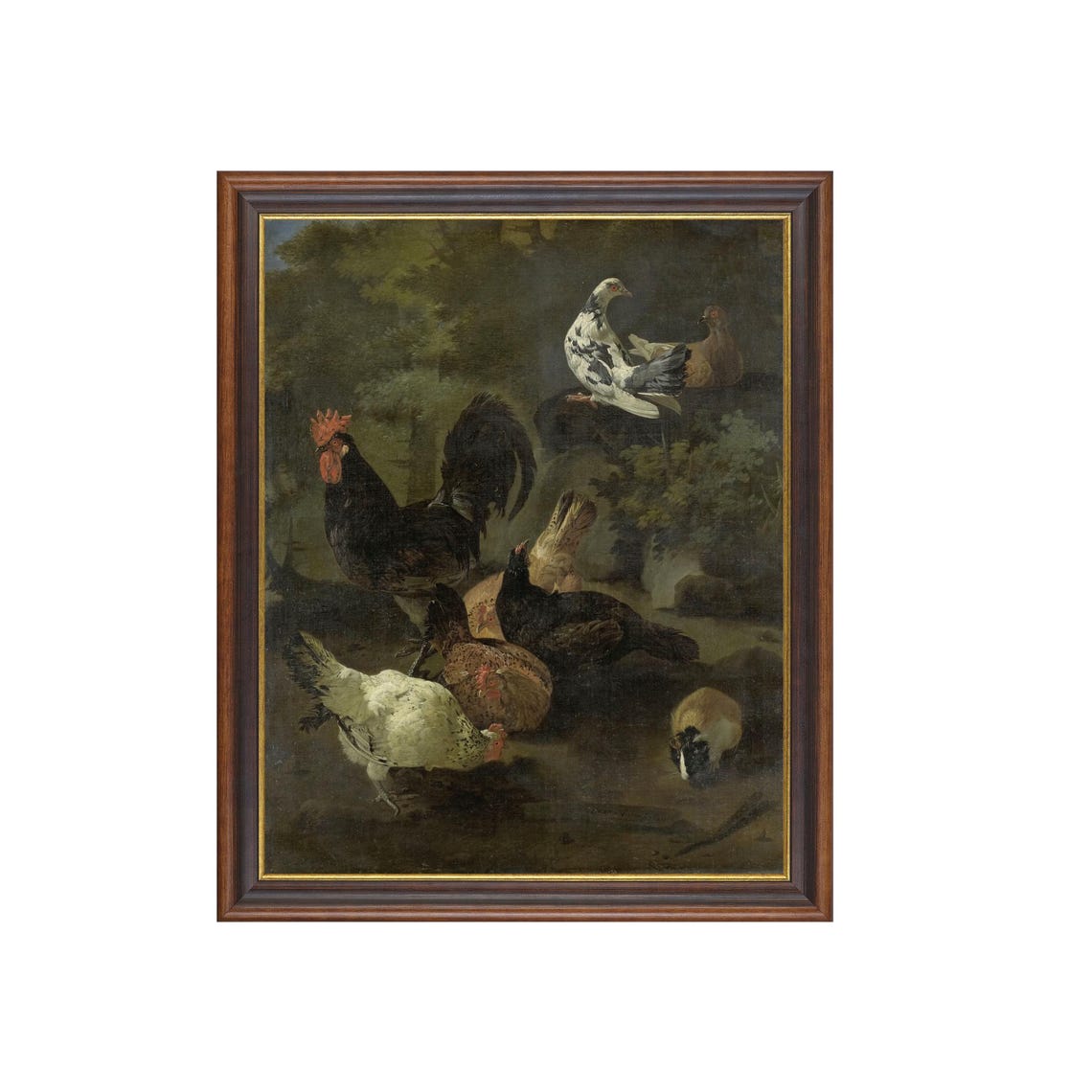 Black Rooster Hens Doves and a Guinea Pig in a Farmyard Poster