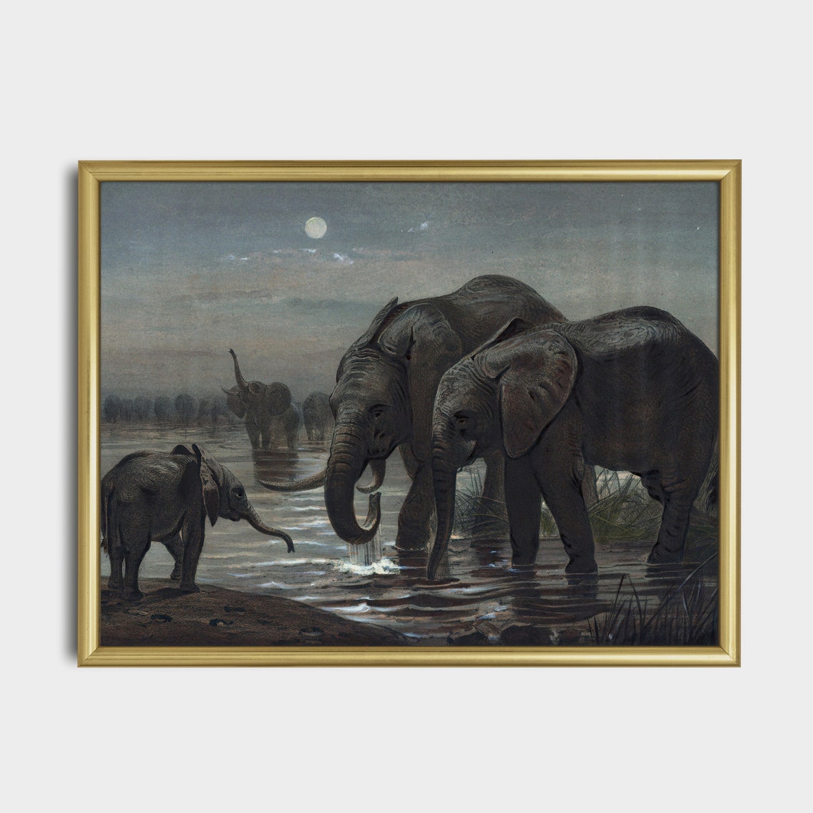 Vintage Elephant Herd Drinking at a Moonlit Waterhole Night Poster - Image 5