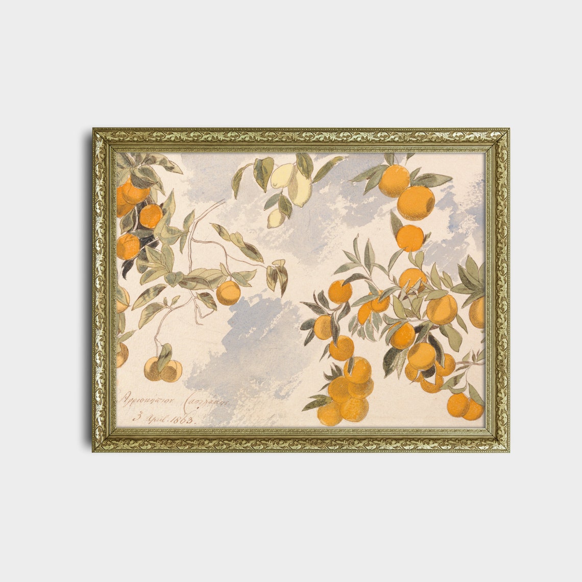 Orange and Lemon Branches Botanical Watercolor Dated 1863 Poster - Image 2