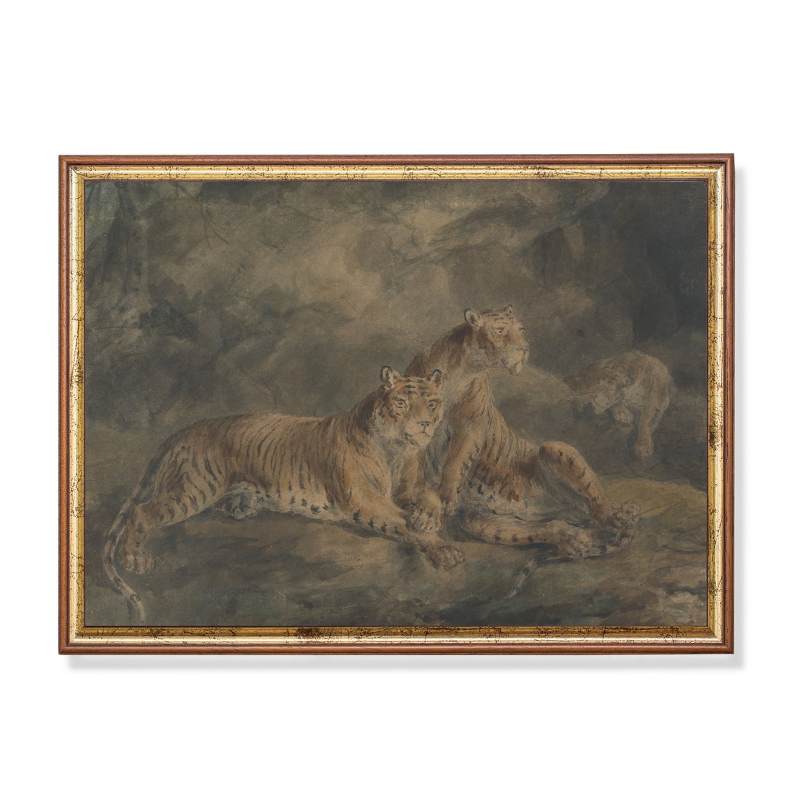 Two Tigers Resting Together on Rocks in a Dark Forest Poster