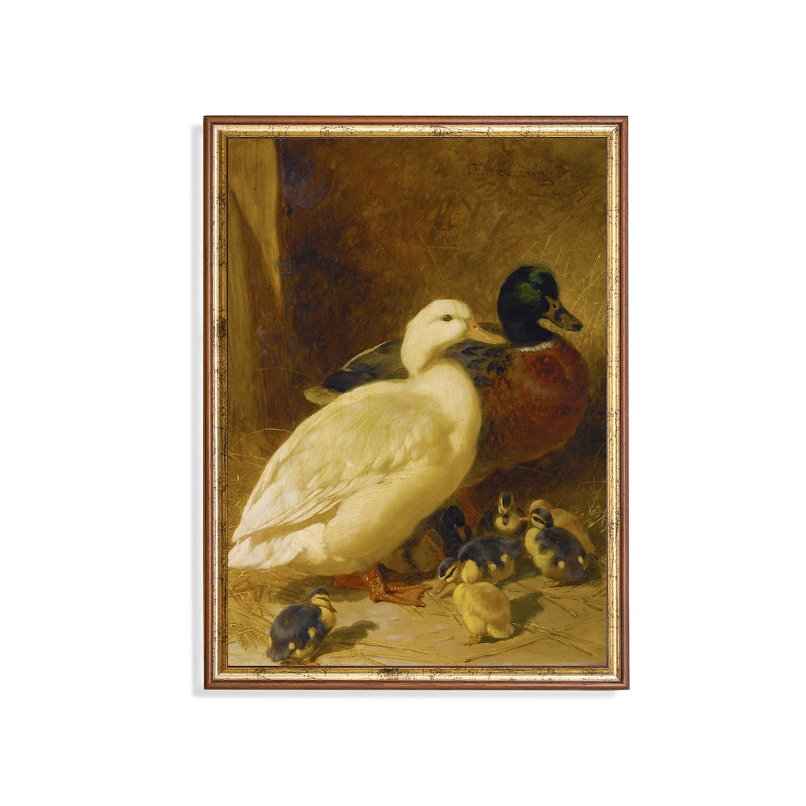 Vintage Duck and Ducklings Antique Birds Art Print