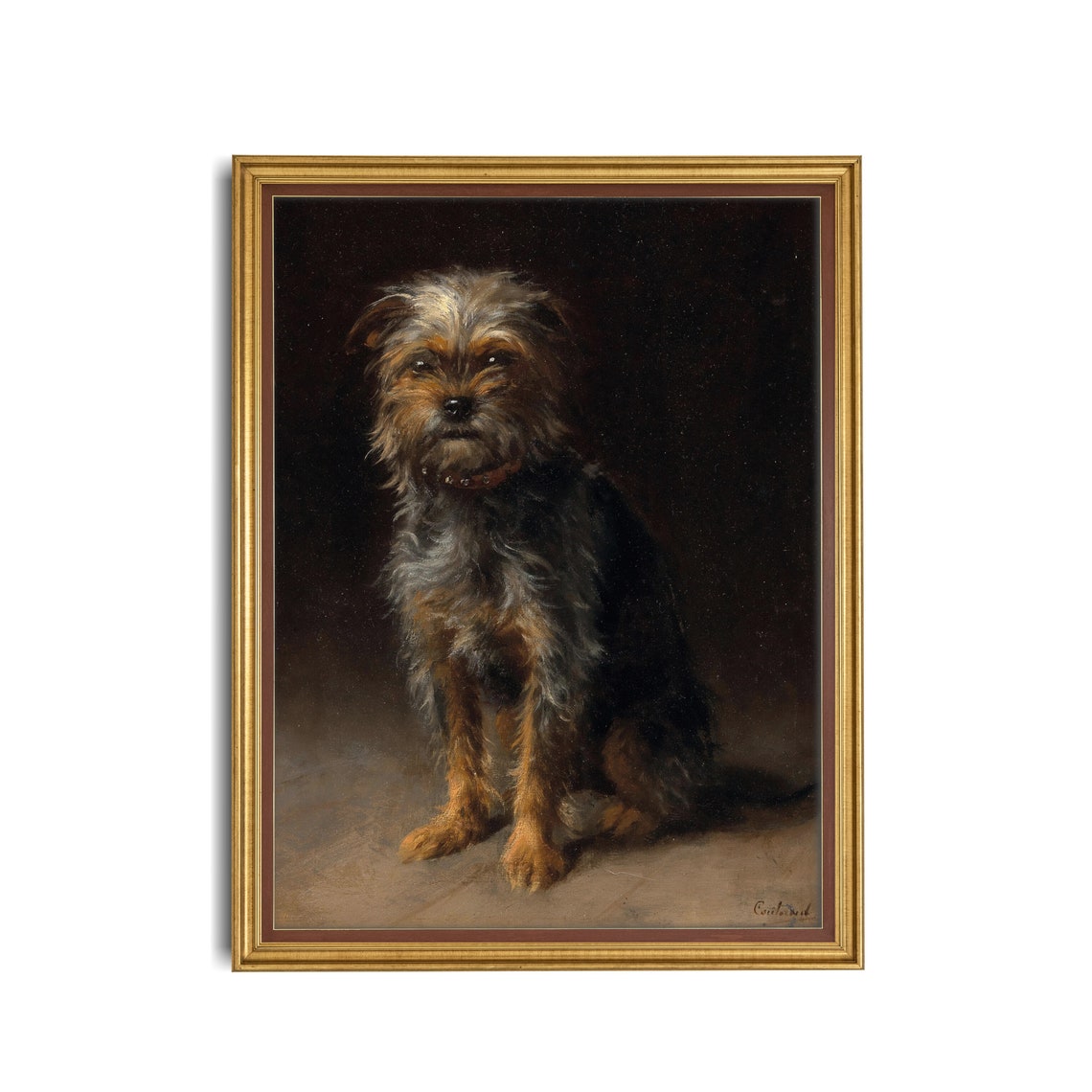 Scruffy Terrier Dog Sitting Against a Dark Background Animal Poster - Image 3