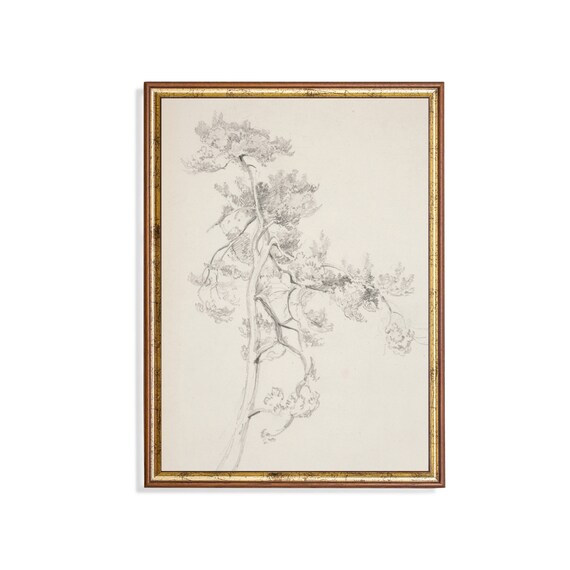 Printed And Shipped Vintage Foliage Print Antique Tree Drawing Rustic Sketch Print Minimalist Living Room Art Physical Prints