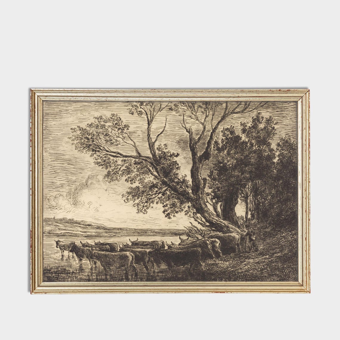 Cattle Watering by a River Etching with Leaning Trees Poster - Image 3