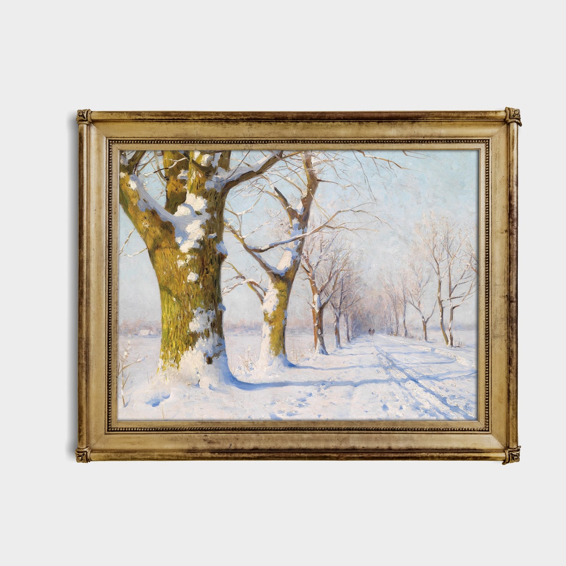 Sunlit Snowy Avenue of Tall Trees Stretching Into Distance Poster - Image 3
