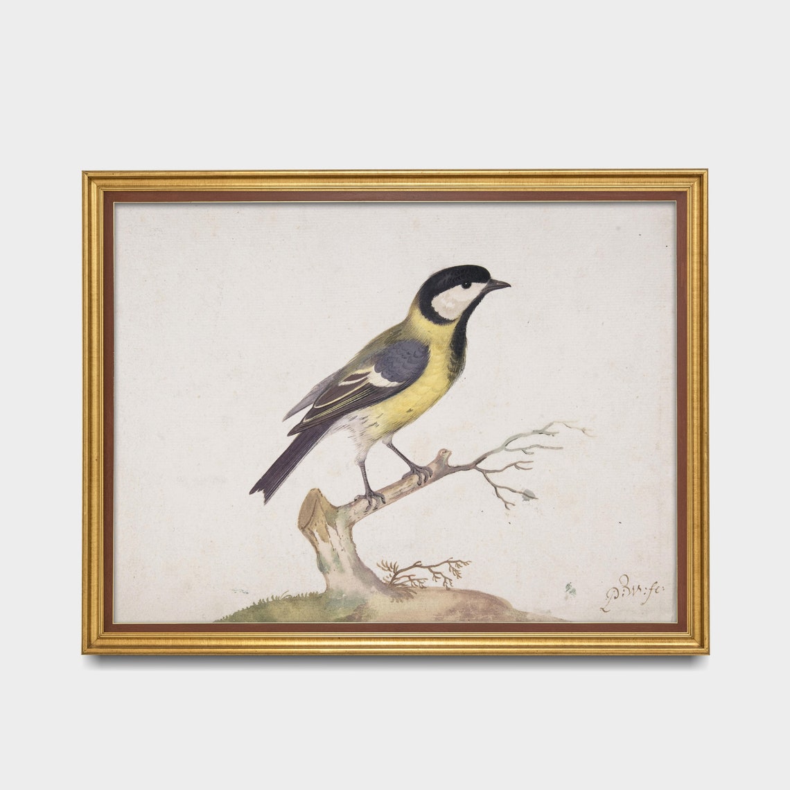 Great Tit Songbird on Bare Branch Vintage Bird Illustration Poster - Image 2