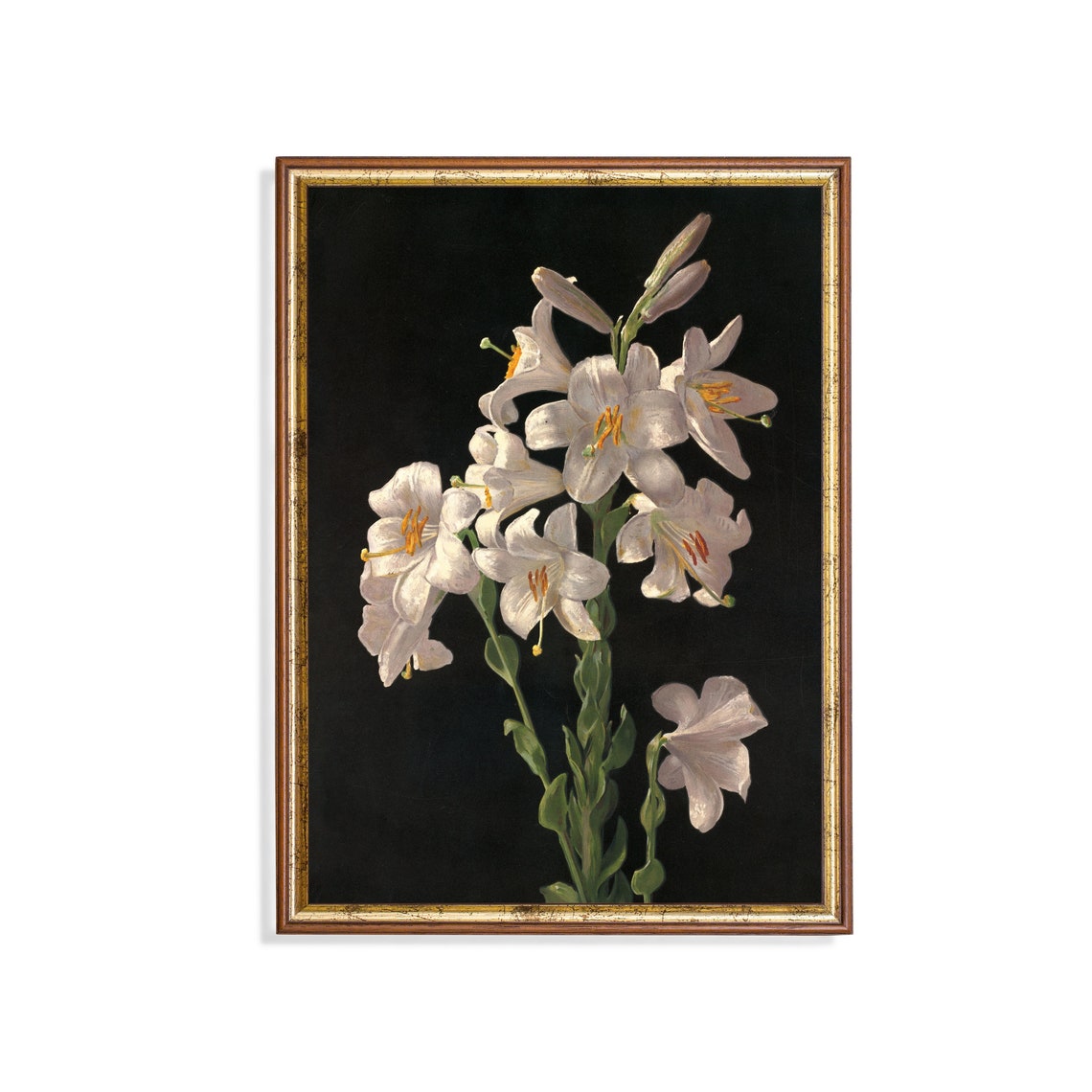 Elegant White Lilies Blooming Against a Deep Black Background Poster