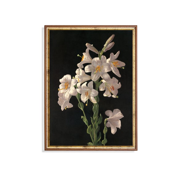 Vintage Still Life With Flowers Antique Floral Painting Moody Rustic Lily Print Wall Art Dark Academia