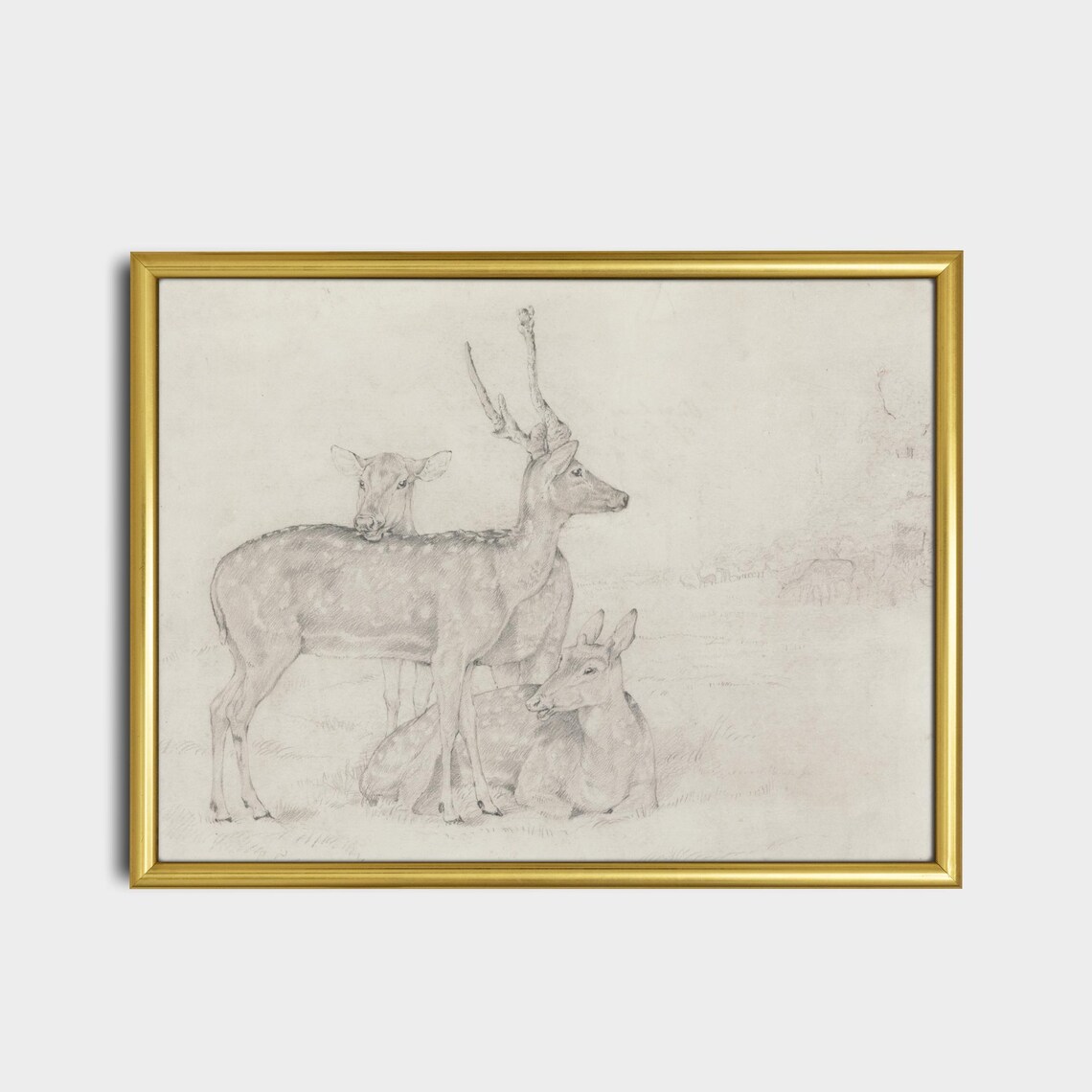 Vintage Deer Sketch Art Print, Farmhouse Decor - Image 2