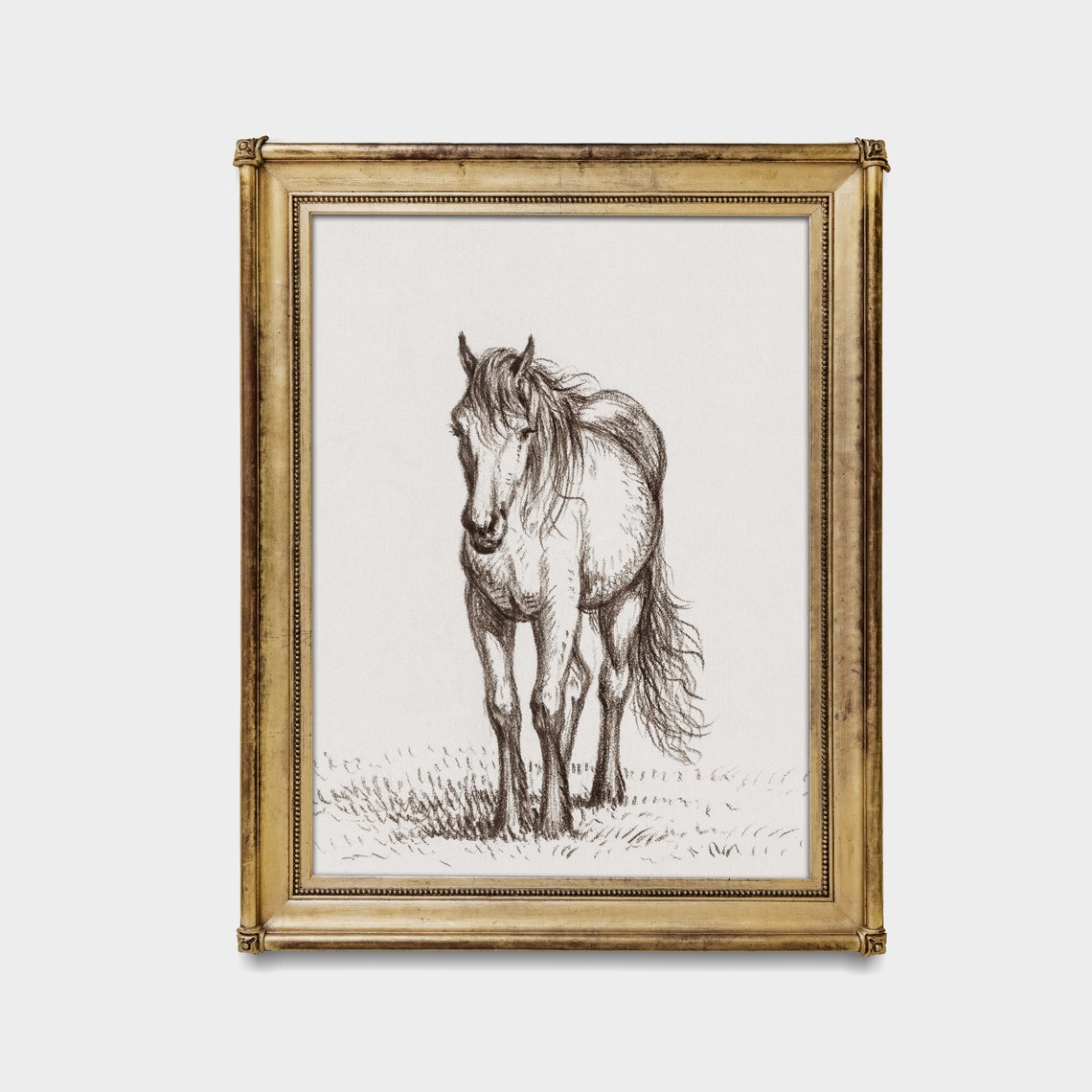 Standing Horse Pencil Sketch Minimalist Equestrian Drawing Poster - Image 2