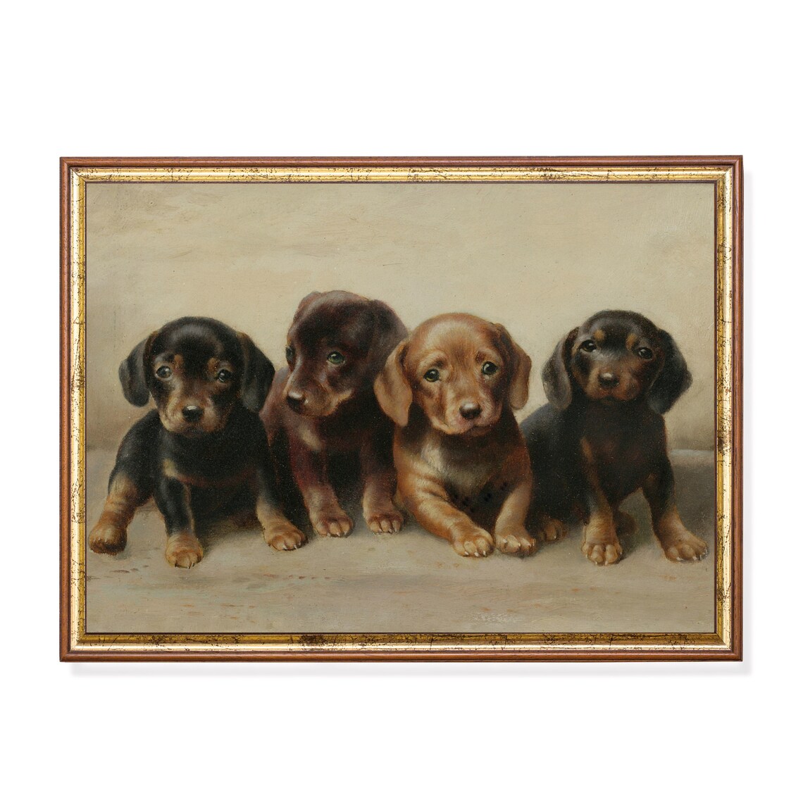 Four Sweet Puppies Sitting Side by Side Vintage Portrait Poster