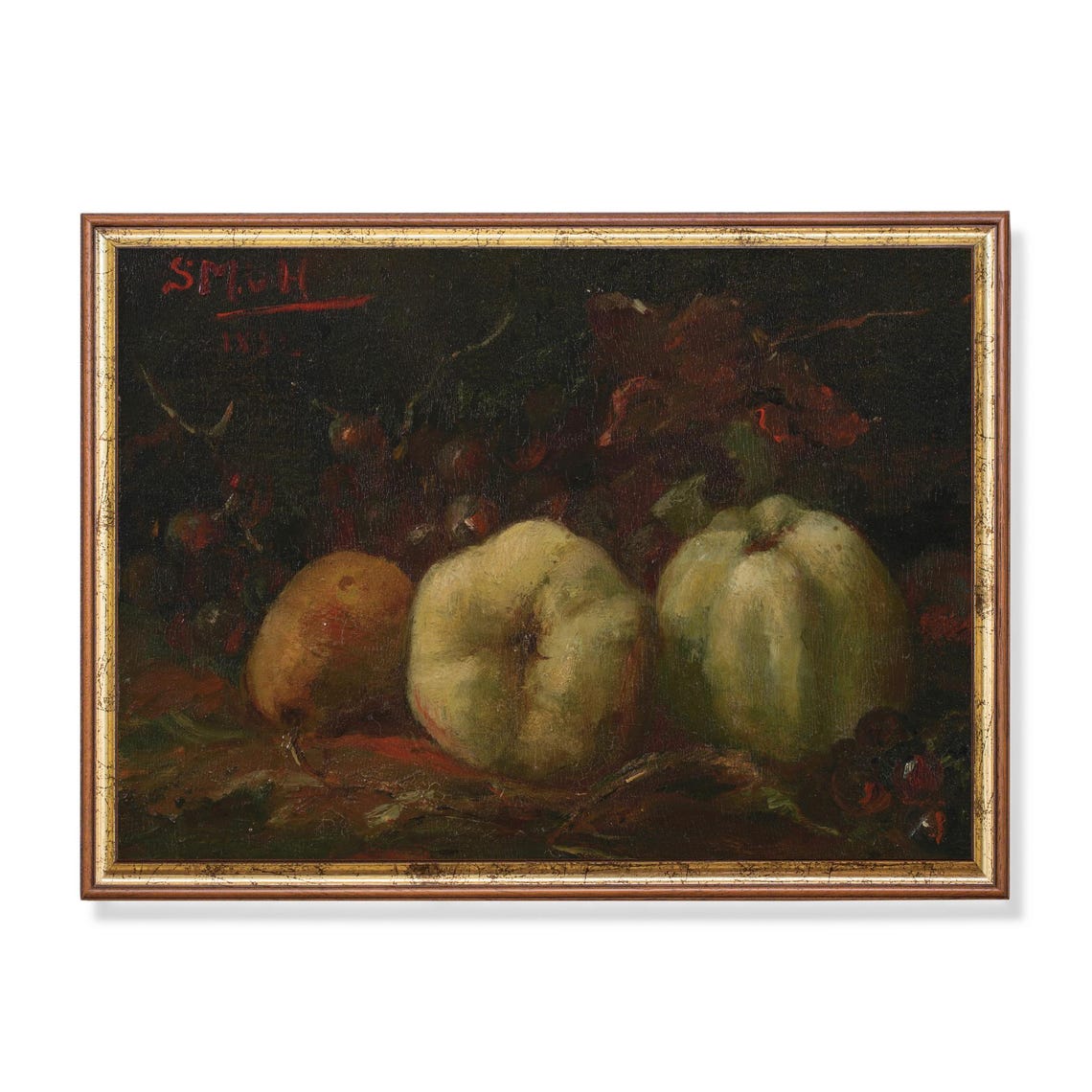 Dark Moody Apples and Pears Still Life Vintage Fruit Art Poster