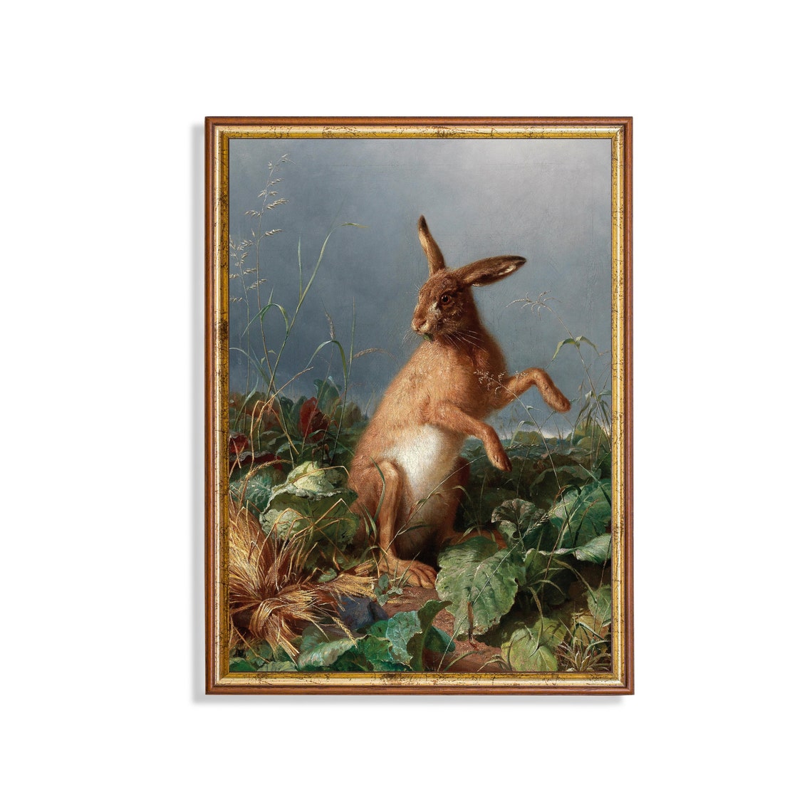 Brown Hare Standing Alert in Tall Grass Vintage Wildlife Poster