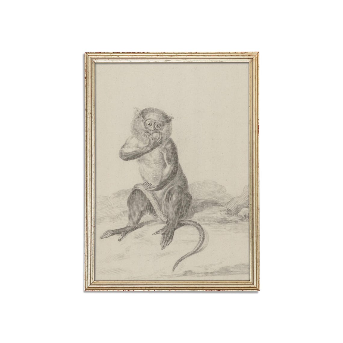 Seated Monkey Eating Fruit Vintage Graphite Animal Sketch Poster - Image 3