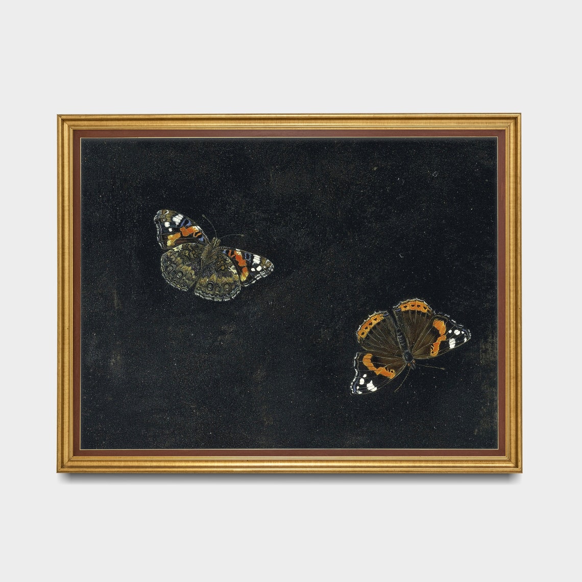 Moody Red Admiral Butterflies on Black Background Fine Art Poster - Image 3
