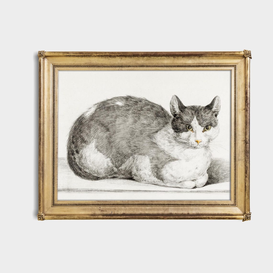 Detailed Pencil Sketch Grey White Cat Lying Down Feline Art Poster - Image 4