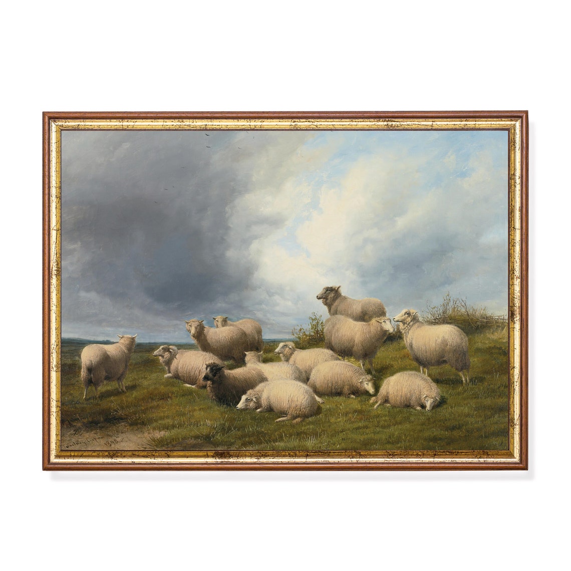 Flock of Sheep Resting Under a Dramatic Cloudy Sky Pasture Poster