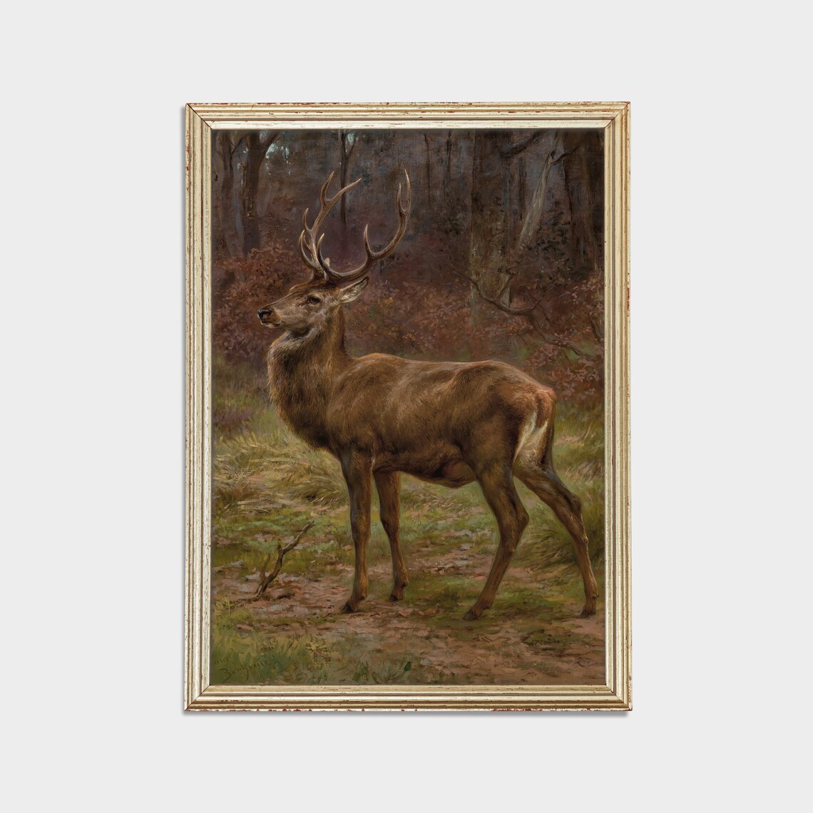 Majestic Red Deer Stag With Antlers in Autumn Woodland Poster - Image 2