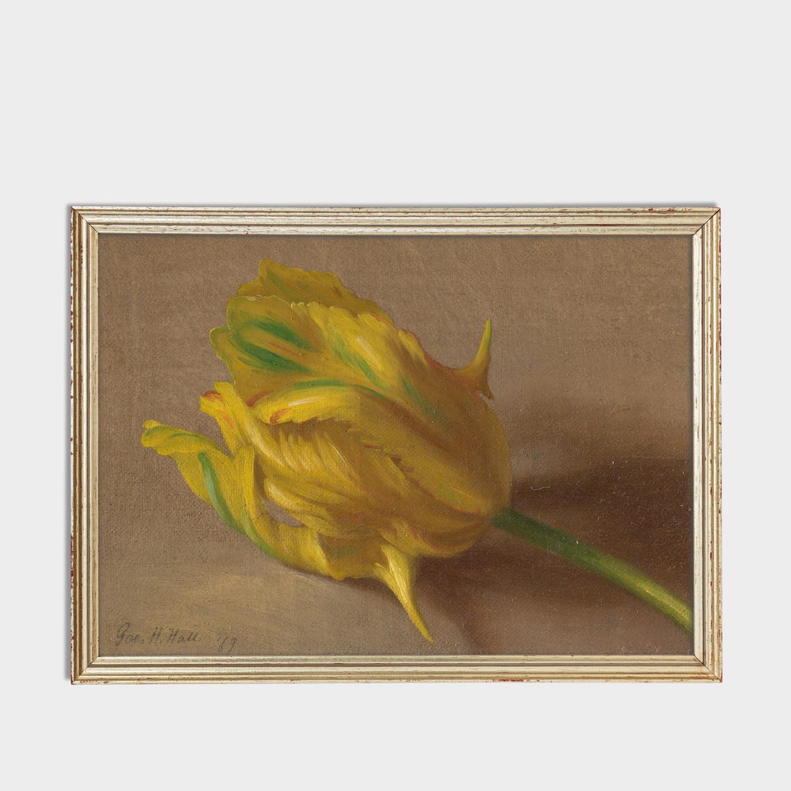Single Golden Yellow Tulip Bloom Botanical Still Life Study Poster - Image 3