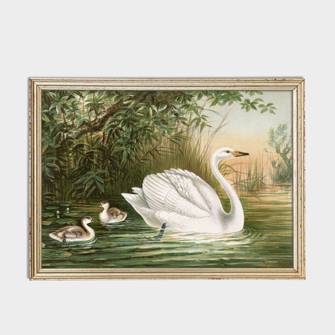 Vintage Swan Painting Art Print, Nursery Bird Decor - Image 3