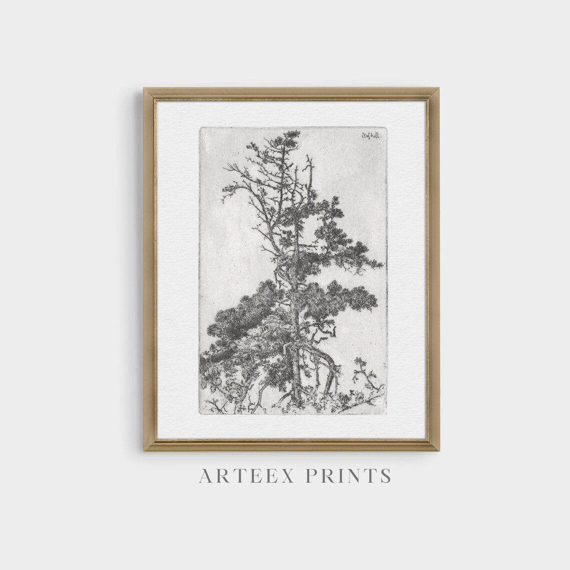 Vintage Tree Etching, Rustic Nature Art Print - Image 4