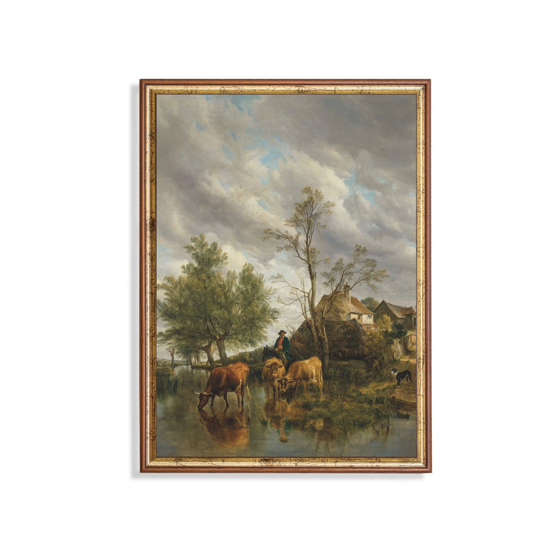 Cattle Drinking at Stream by Farm Cottage Vintage Rural Scene Poster