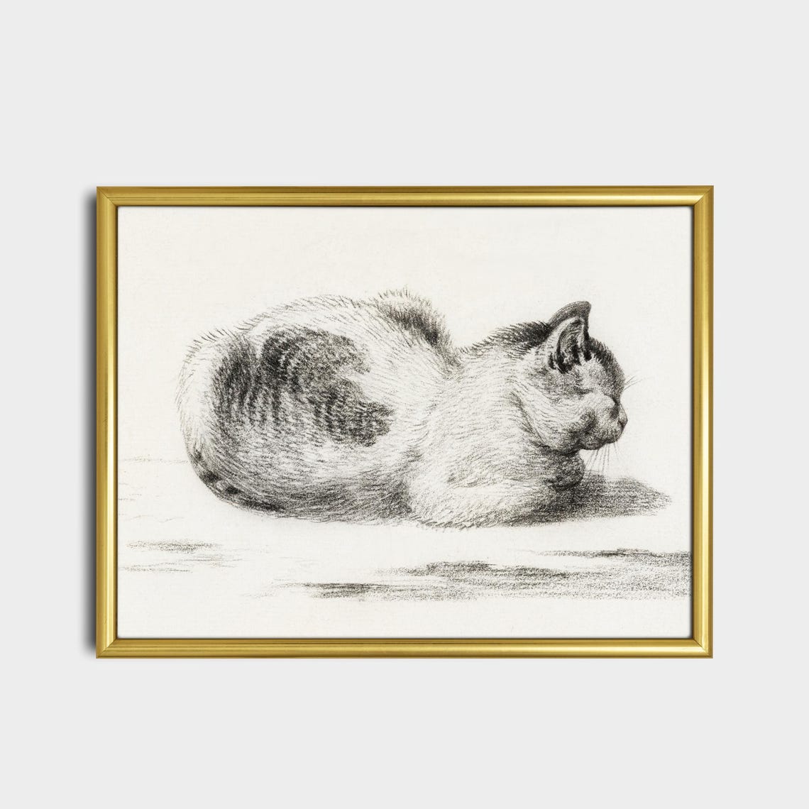 Sleeping Cat Curled Up Tight Vintage Graphite Sketch Art Poster - Image 2
