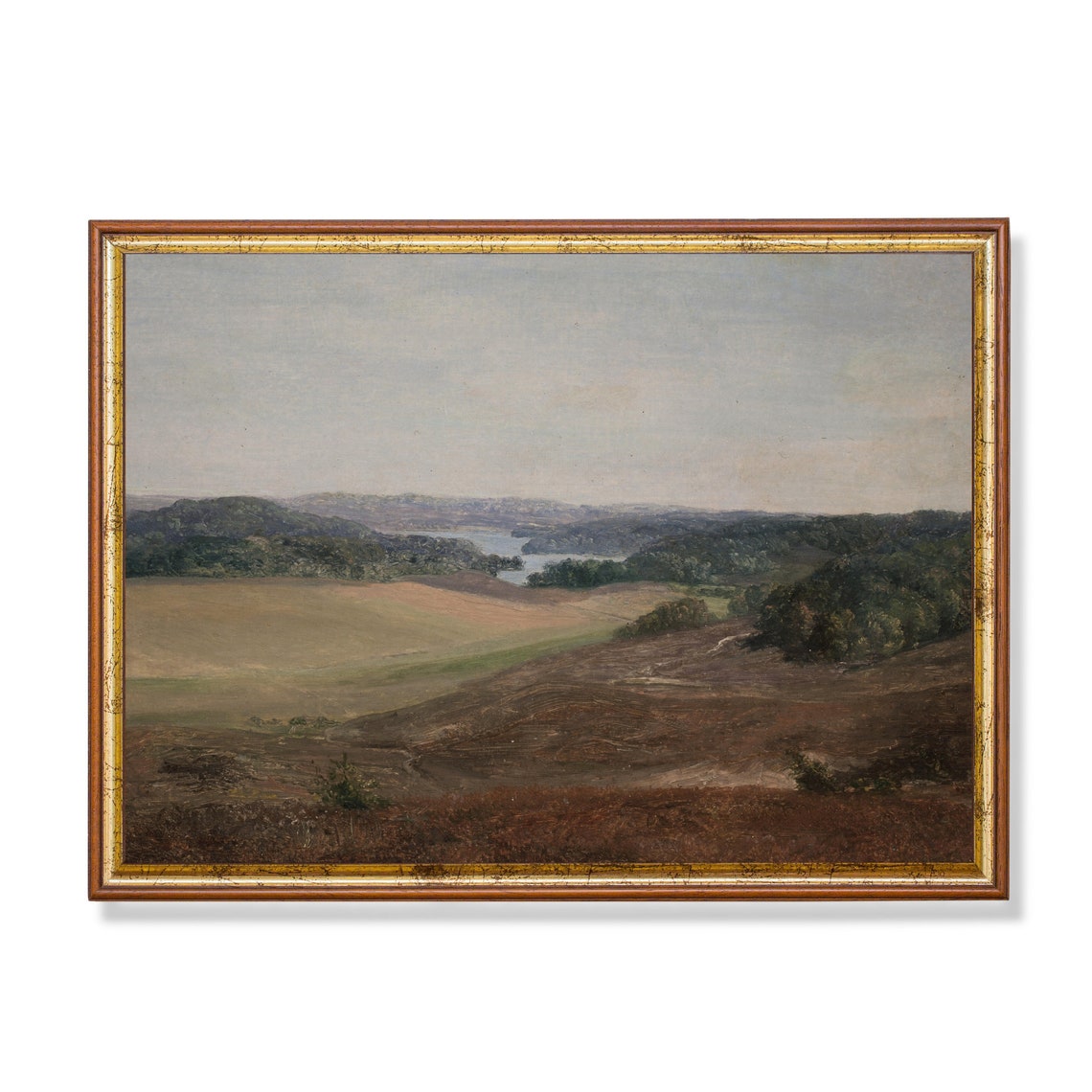 Rolling Valley with Distant Lake Panoramic Vintage Landscape Poster