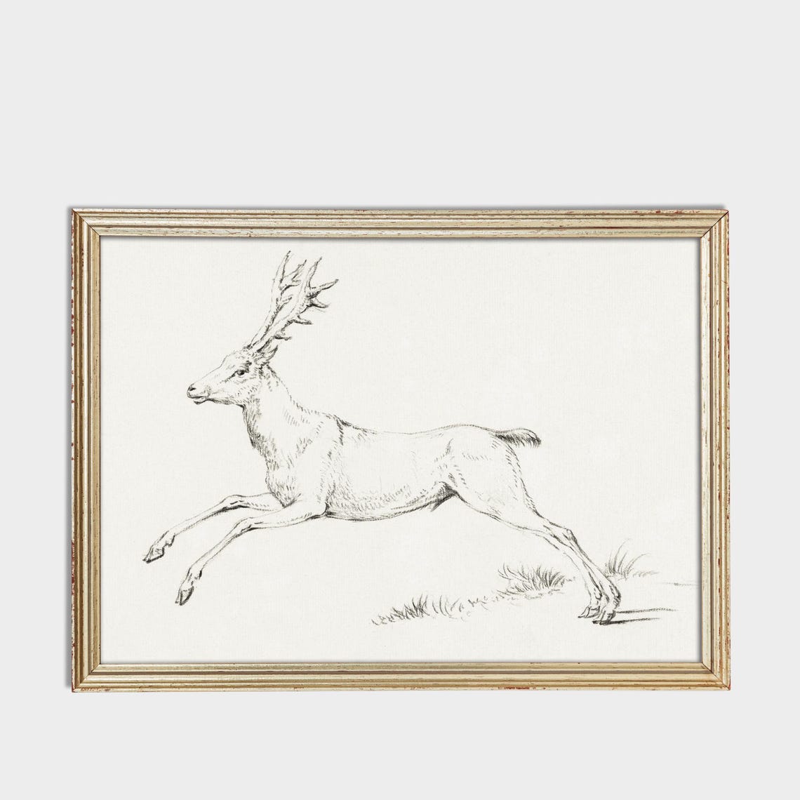 Leaping Stag Pencil Sketch Antlered Deer Wildlife Drawing Poster - Image 3