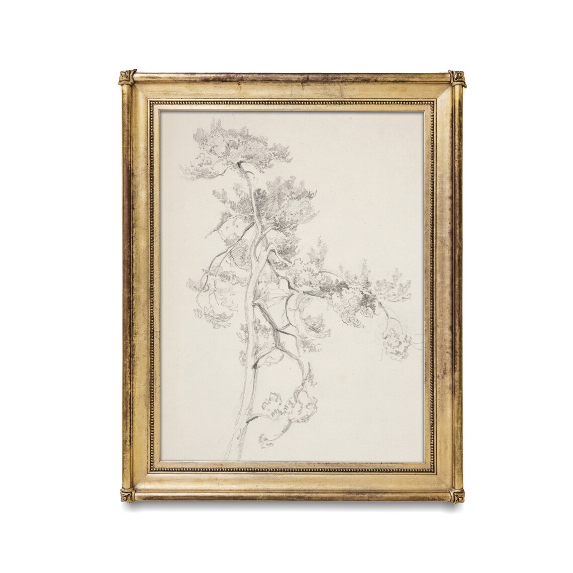 Pine Branch Botanical Pencil Sketch Minimalist Tree Art Poster - Image 3