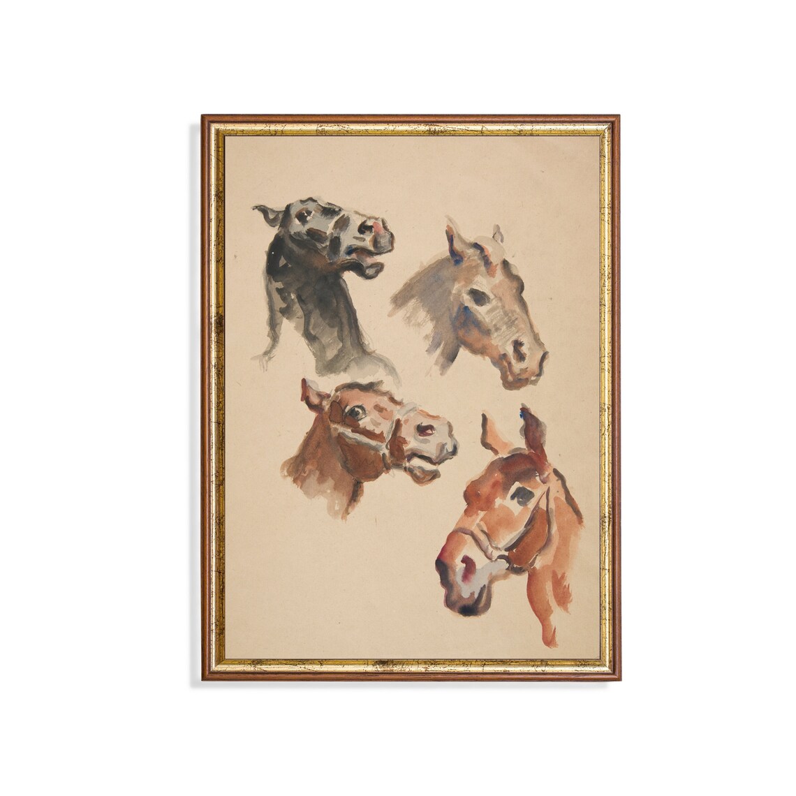 Study of Four Horse Heads Watercolor Sketch Antique Equestrian Poster