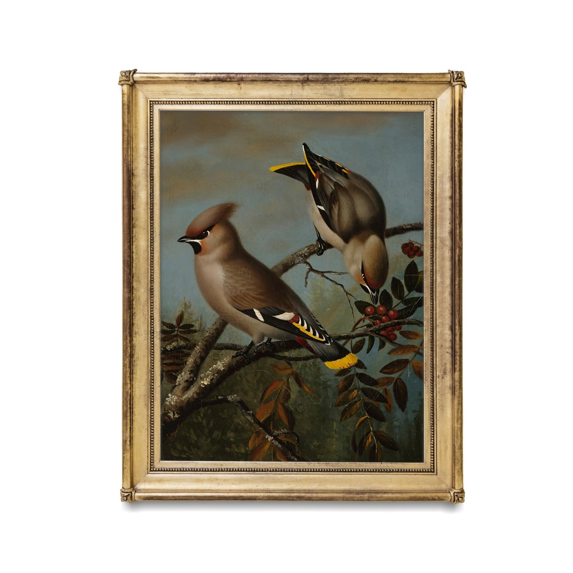 Two Beautiful Bohemian Waxwings Feeding on Red Berries Poster - Image 2