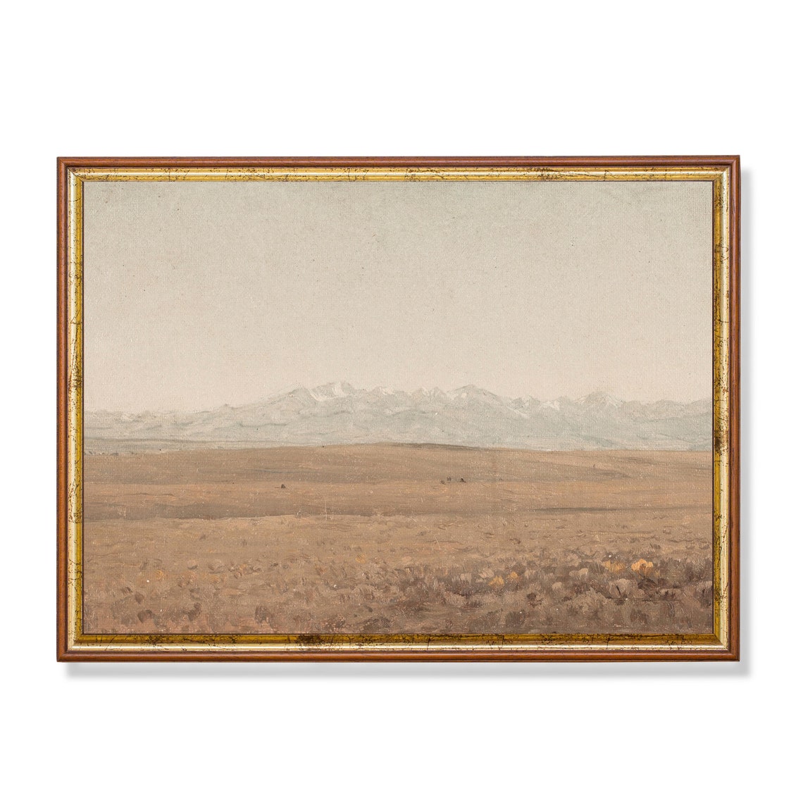 Distant Snowy Peaks Over an Empty Prairie Vintage Landscape Poster